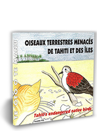 dettloff_oiseaux