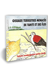 dettloff_oiseaux